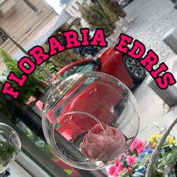 Floraria Edris, Bucureşti