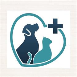 Amon Vet Care, Bacău