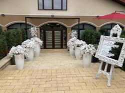 Casa Andrei, Darabani