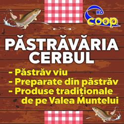 Pastravaria Cerbul, Dărmăneşti
