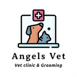 Angels VET, Bucureşti