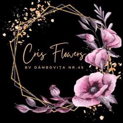 Cris Flowers, Timişoara