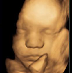 Gyne Clinique. CMI dr Harangozo Kinga, Băiţa