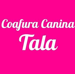 Coafura Canina Tala, Oradea