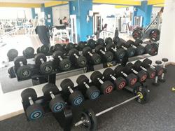 Saba Gym, Otopeni
