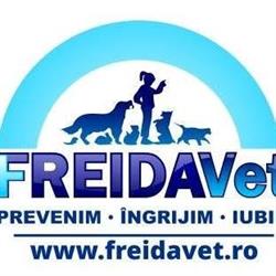 FreidaVet, Iaşi