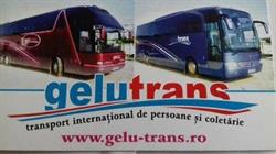 Gelu Trans, Câmpia Turzii