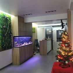 Clinica Veterinara Complet Vet, Cabinet Veterinar Zalau, Medic Veterinar Silaghi Cornelia