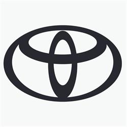 Toyota Baia Mare