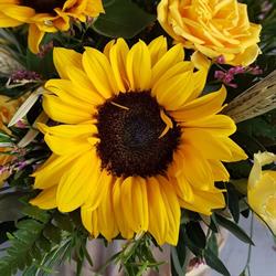Floraria Sunflower, Constanţa