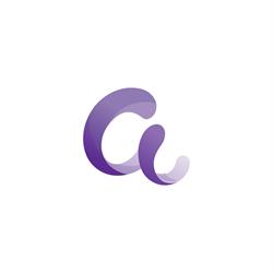 Attribute Company, Iaşi