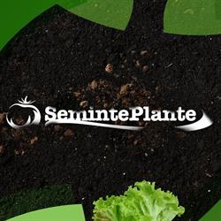 SemintePlante Ceres Union SRL, Popeşti-Leordeni