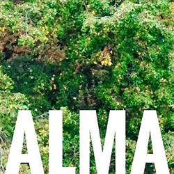 Alma Gardens, Otopeni