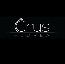 Icrus Florea, Bucureşti