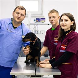 ZubiVet Cabinet si Farmacie Veterinara, Rădăuţi