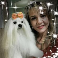 Tonya Frizerie Canina, Cosmetica Canina Timisoara. Salon Canin Timisoara