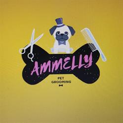 Amelly Salon, Constanţa