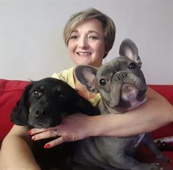 Dog Spa Salon, Carei
