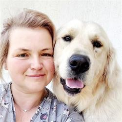 Aky Frizerie Canina - Pet grooming, Braşov