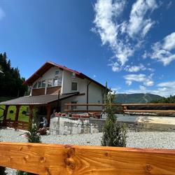 Casa Ileana Timis, Borşa