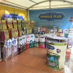 Winner Plus Depozit Principal, Focşani