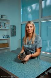 Cabinet Veterinar Giulivet, Satu Mare