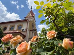 Kis Szent Teréz Plébánia, Satu Mare