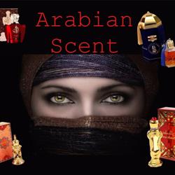 Arabian Scent, Ploieşti