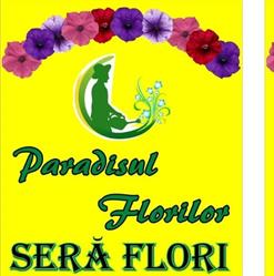 Paradisul florilor, Focşani