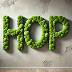 HOP - House of papa, Floreşti