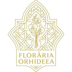 Floraria Orhideea, Pecica