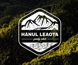 Hanul Leaota, Runcu