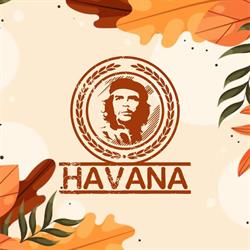Havana Focsani, Vâlcele