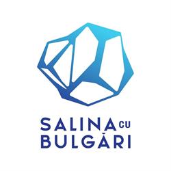 Salina cu Bulgari, Bucureşti