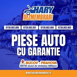 HARY Dezmembrari, Bucov