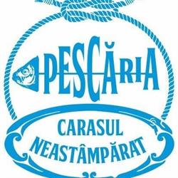 Pescăria Carasul Neastâmpărat, Olteniţa