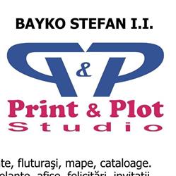 Print Plot Studio, Topliţa