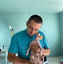Cabinet Veterinar Dr.Sibisan Nicolae, Vinţu de Jos