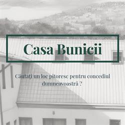 Pensiunea Casa Bunicii, Sasca Montană
