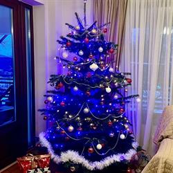 Pensiunea Tania Nora, Viişoara