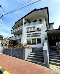 Ava Memorial, Suceava