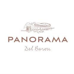 Panorama del Baron, Cluj-Napoca