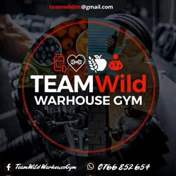 Team Wild Warhouse Gym, Sânnicolau Mare