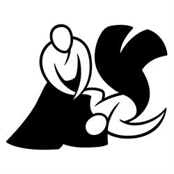 Şcoala de Aikido, Constanţa