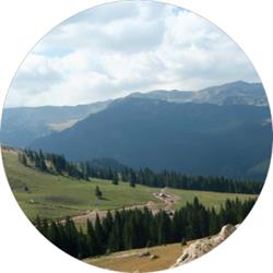 Obştea Muntele Cărbunele, Târgu Cărbuneşti