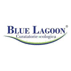 Blue Lagoon Clean HQ, Pantelimon