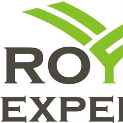 Royal Expeditii, Bucureşti