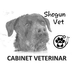 Shogun Vet, Bucureşti