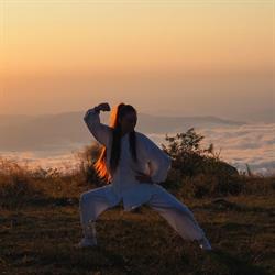 Chen Tai Chi Iaşi