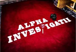 Pischl Investigatii Alpha, Timişoara